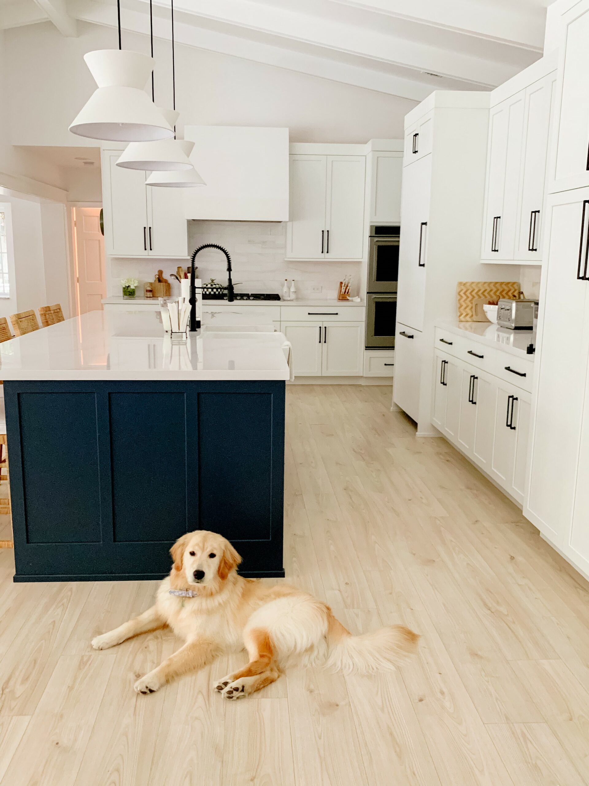 White and Blue Kitchen After Kitchen Remodeling with a Dog Laying in Palmetto Bay, Coral Gables, Ocean Reef, and Miami